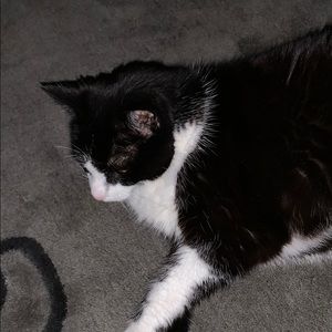 Meet your Posher, Diana